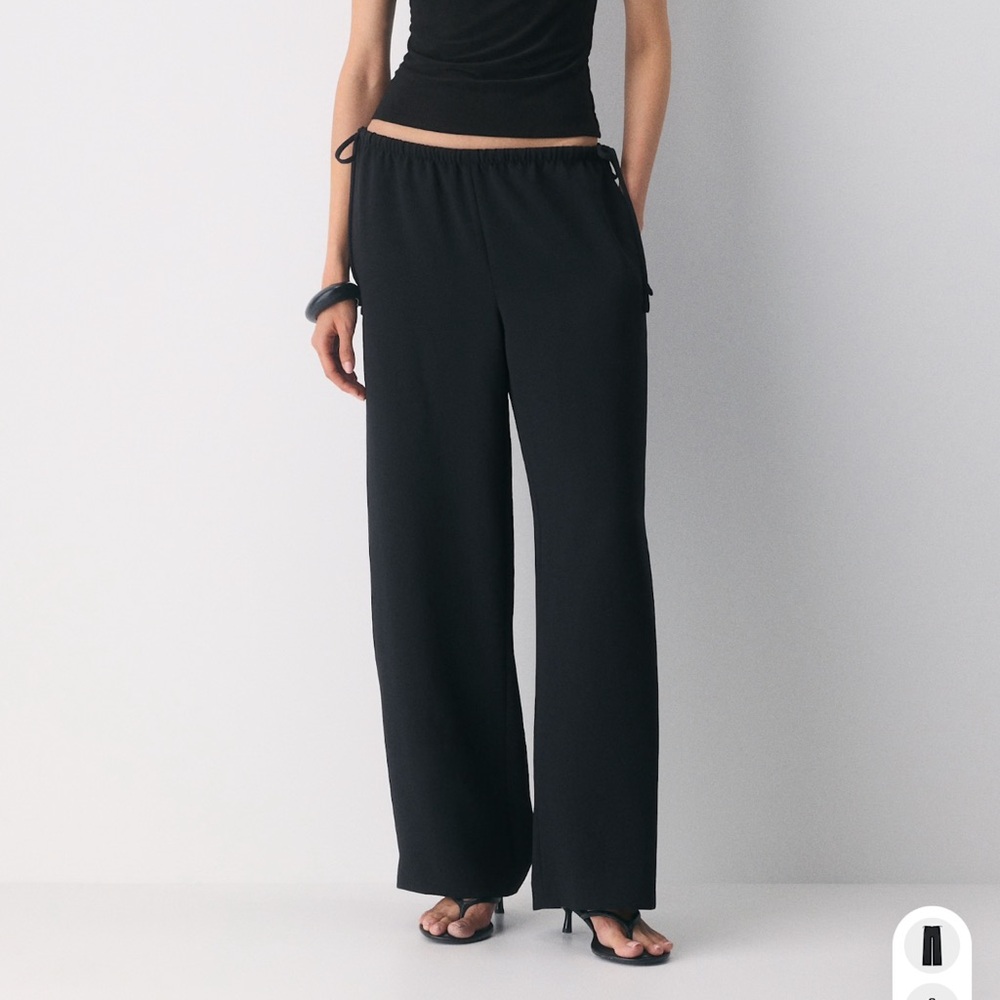 Aritzia Artisan Pant NWOT